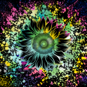 Digital Downloads